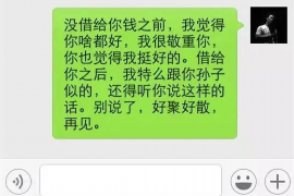 民事诉讼讨债模板：高效解决债务纠纷的实用指南