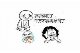 金钱豹催收公司是什么？揭秘专业催收机构的运作